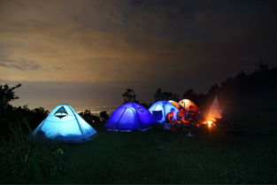 露营夜景设计方案[露营夜景设计方案怎么写]